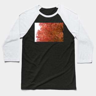 Autumn fall red trees leaves thanksgiving Baseball T-Shirt